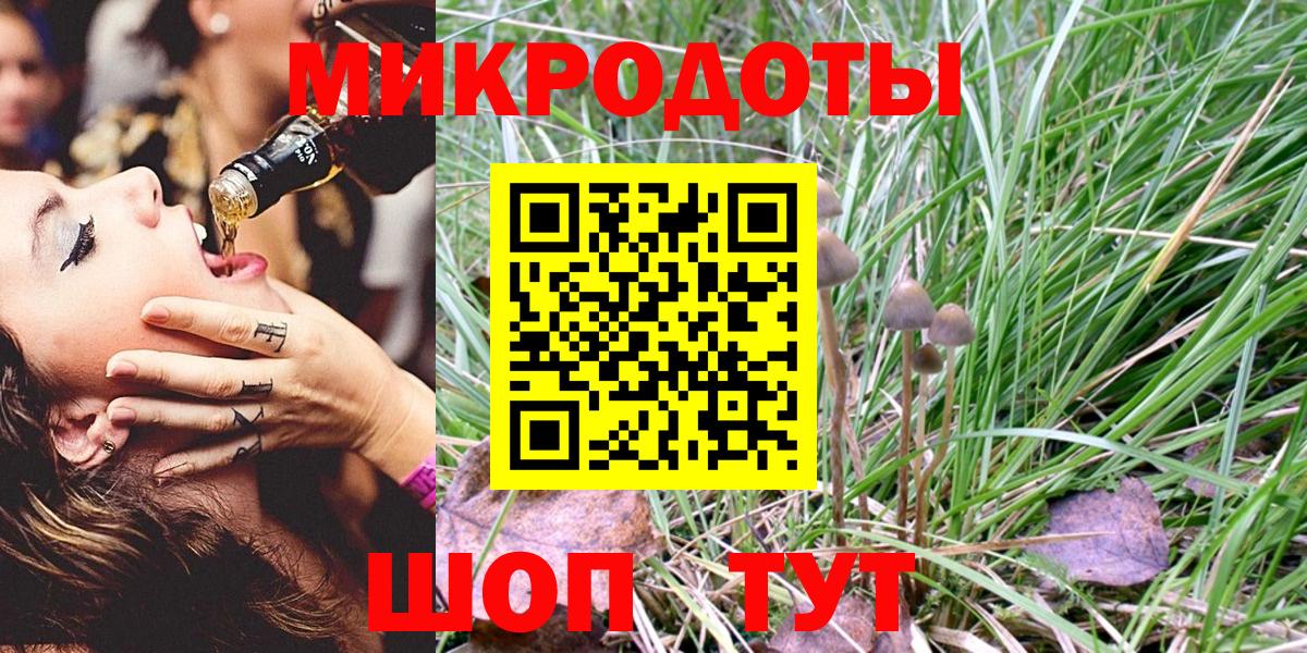 Губаха  Псилоцибиновые грибы Psilocybine cubensis  Псилоцибиновые грибы мухоморы  Вход с VPN 