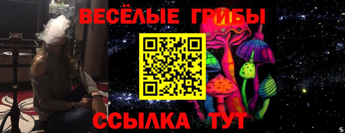 Галлюциногенные грибы прущие грибы Губаха